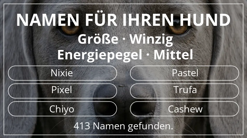 Namen für Hunde inspiriert von größe winzig und energiepegel mittel