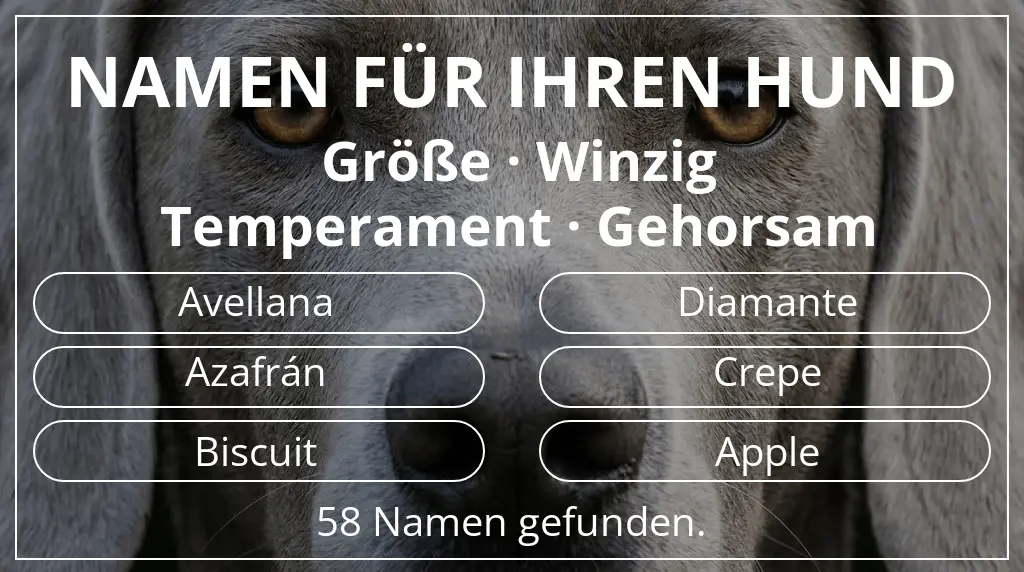 Namen für Hunde basierend auf größe winzig und temperament gehorsam