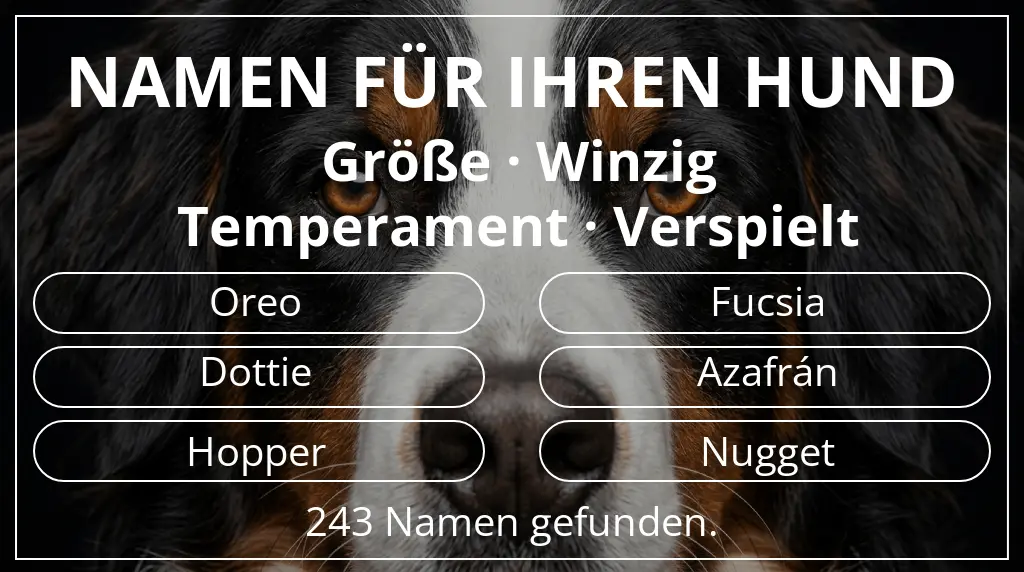 Hundenamen inspiriert von größe winzig und temperament verspielt