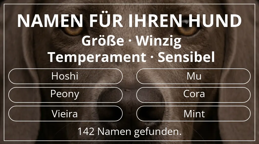 Namen für Hunde basierend auf größe winzig und temperament sensibel
