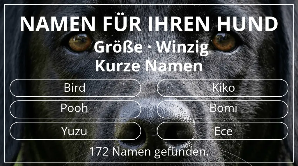 Namen für Hunde basierend auf größe winzig und namenslänge kurz (2–4)
