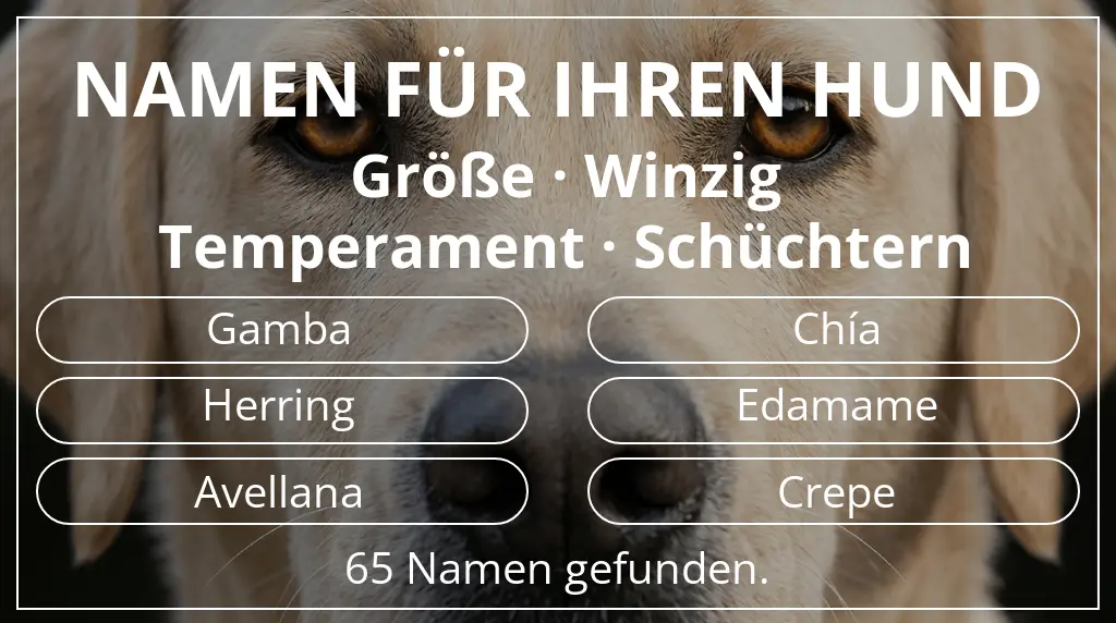 Namen für Hunde basierend auf größe winzig und temperament schüchtern