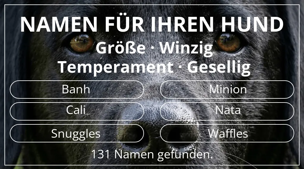 Namen für Hunde basierend auf größe winzig und temperament gesellig