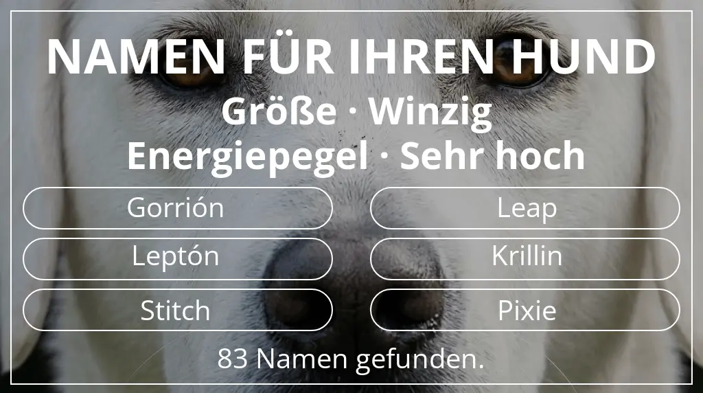 Hundenamen inspiriert von größe winzig und energiepegel sehr hoch