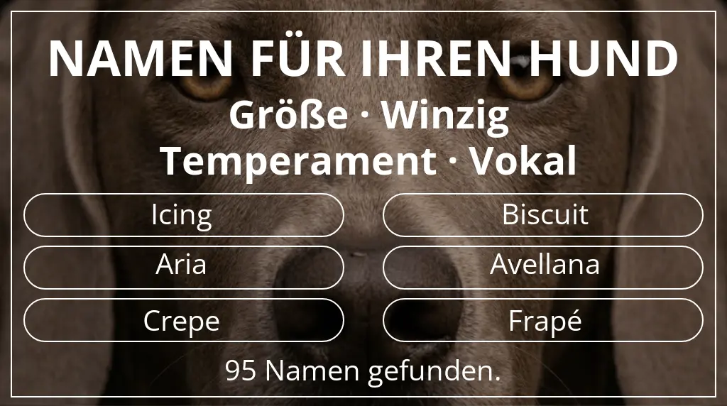 Hundenamen inspiriert von größe winzig und temperament vokal
