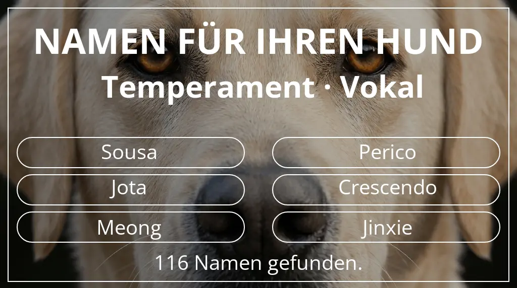 Namen für Hunde inspiriert von temperament vokal