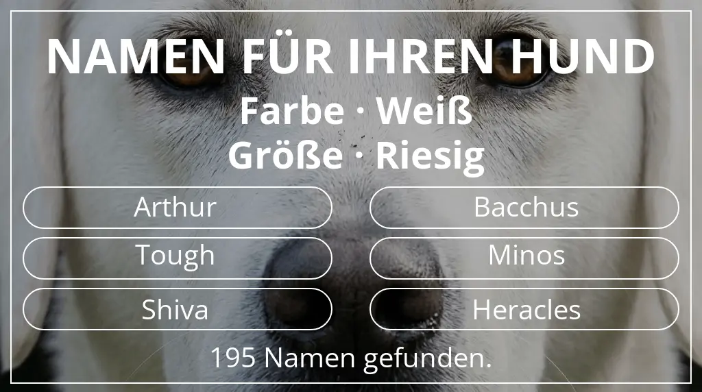 Namen für Hunde basierend auf farbe weiß und größe riesig