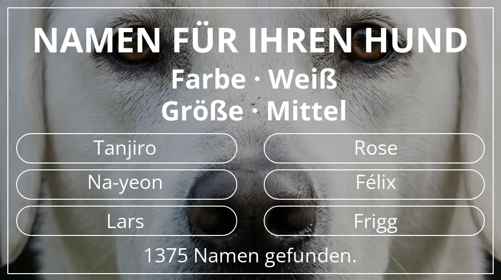 Hundenamen basierend auf farbe weiß und größe mittel