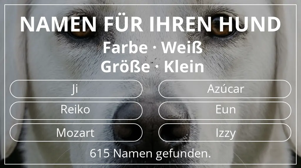 Namen für Hunde basierend auf farbe weiß und größe klein