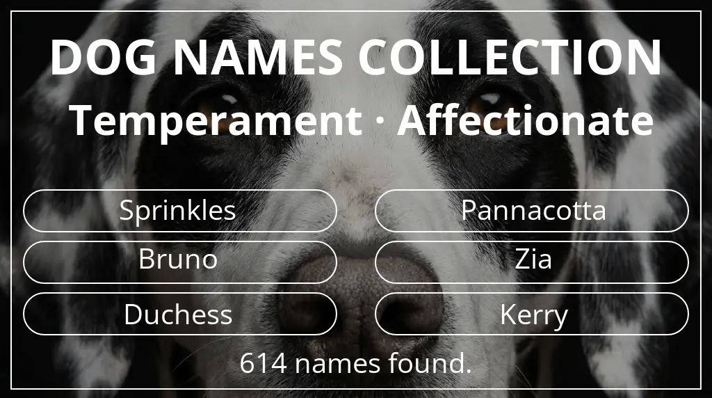 Names for dogs inspired by affectionate temperament