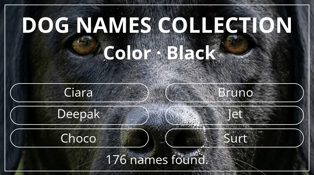 Dog names based on black color