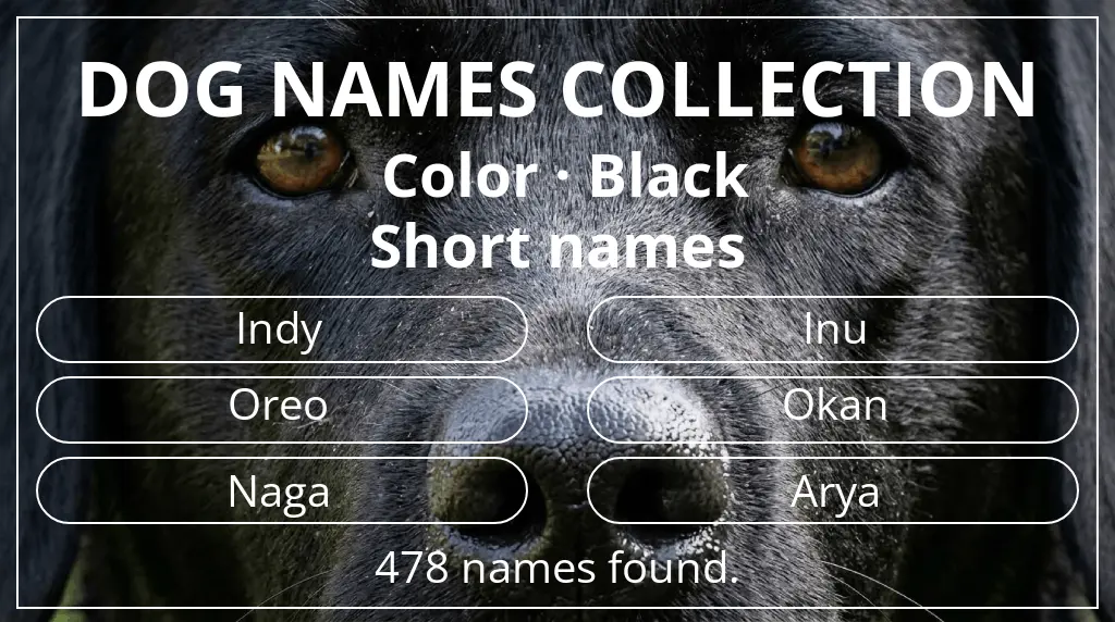 Names for dogs inspired by black color and short (2–4) name length