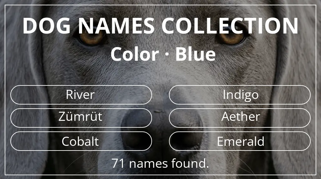 Dog names based on blue color