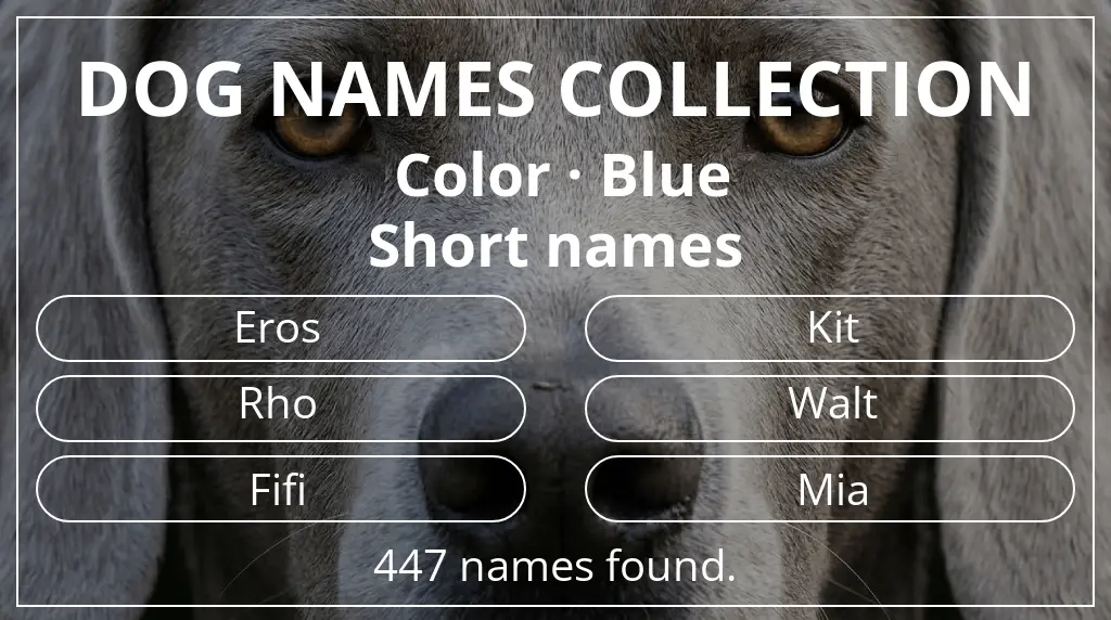 Names for dogs based on blue color and short (2–4) name length
