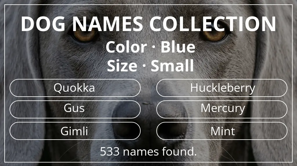 Dog names inspired by blue color and small size