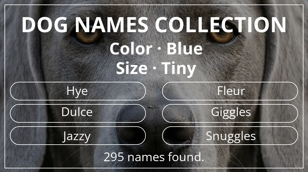 Dog names based on blue color and tiny size
