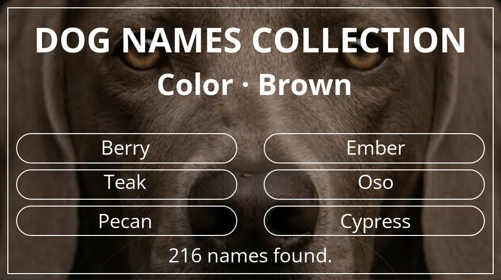 Dog names inspired by brown color