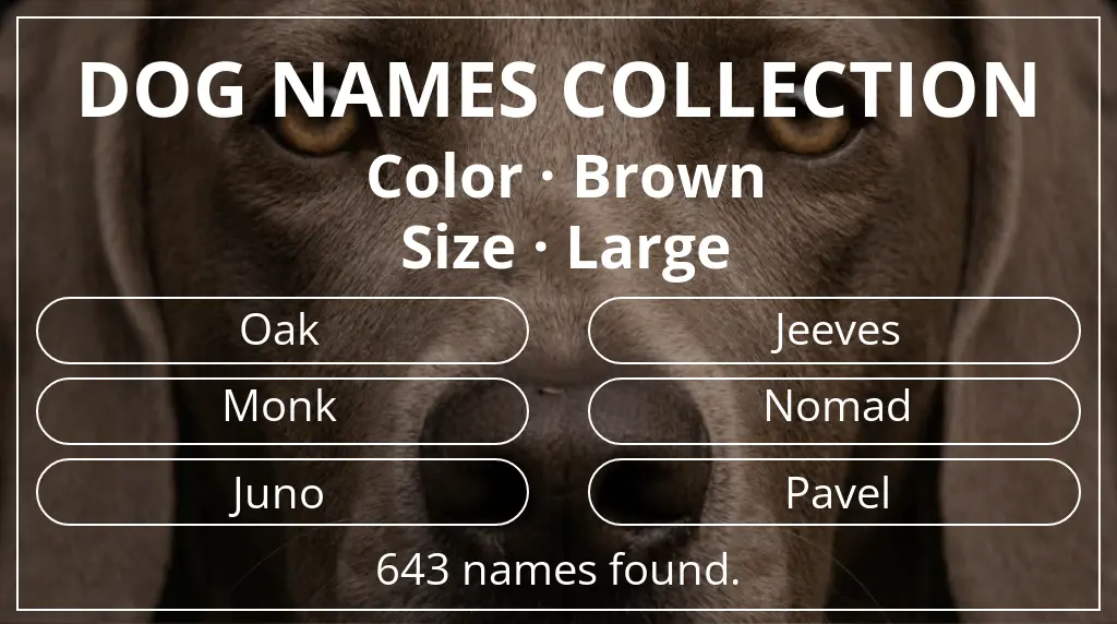 Names for dogs inspired by brown color and large size