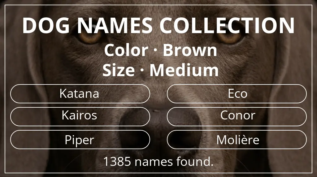 Names for dogs based on brown color and medium size
