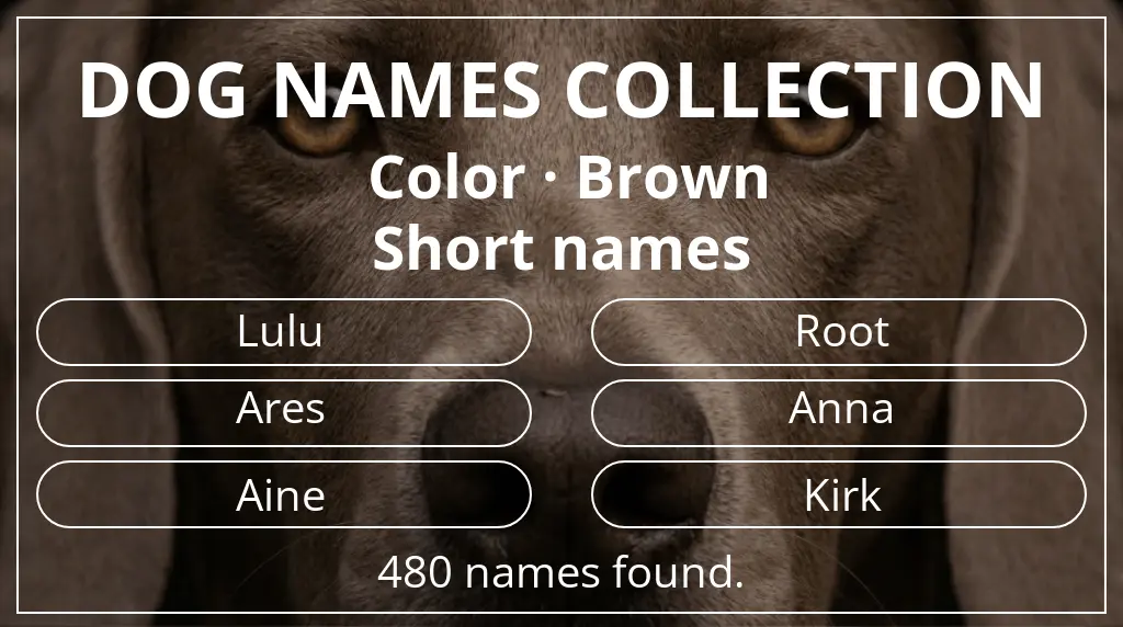 Names for dogs based on brown color and short (2–4) name length
