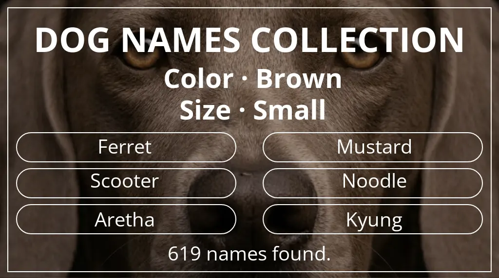 Dog names based on brown color and small size