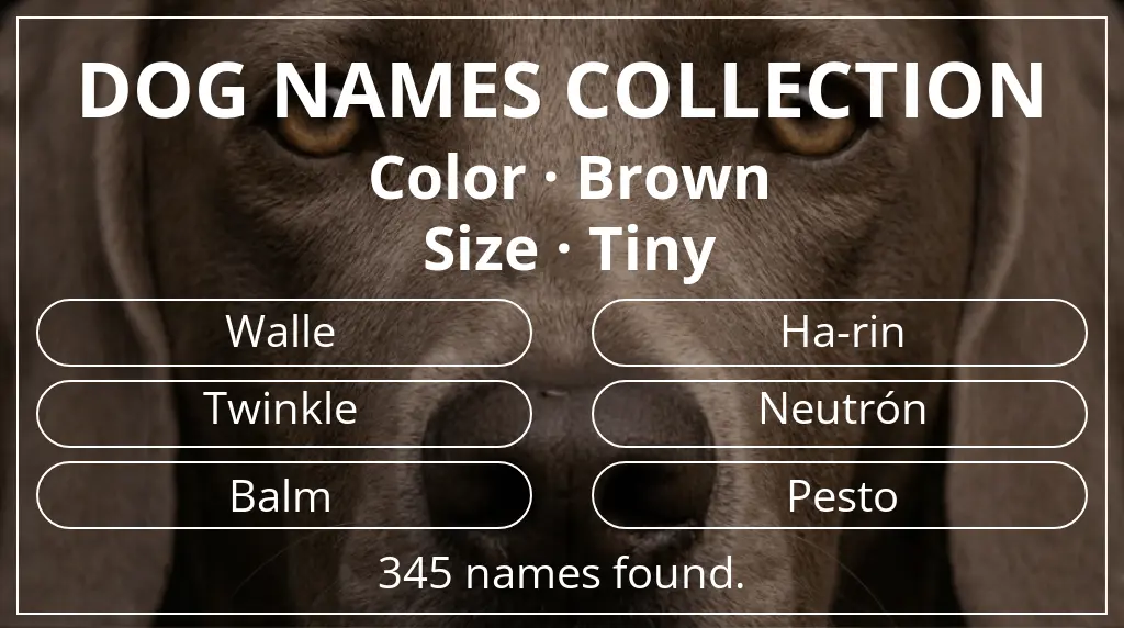 Dog names inspired by brown color and tiny size