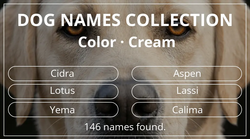 Names for dogs inspired by cream color