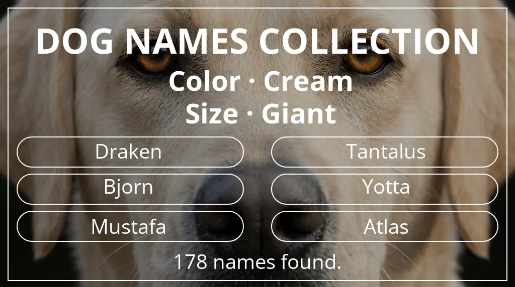 Names for dogs based on cream color and giant size
