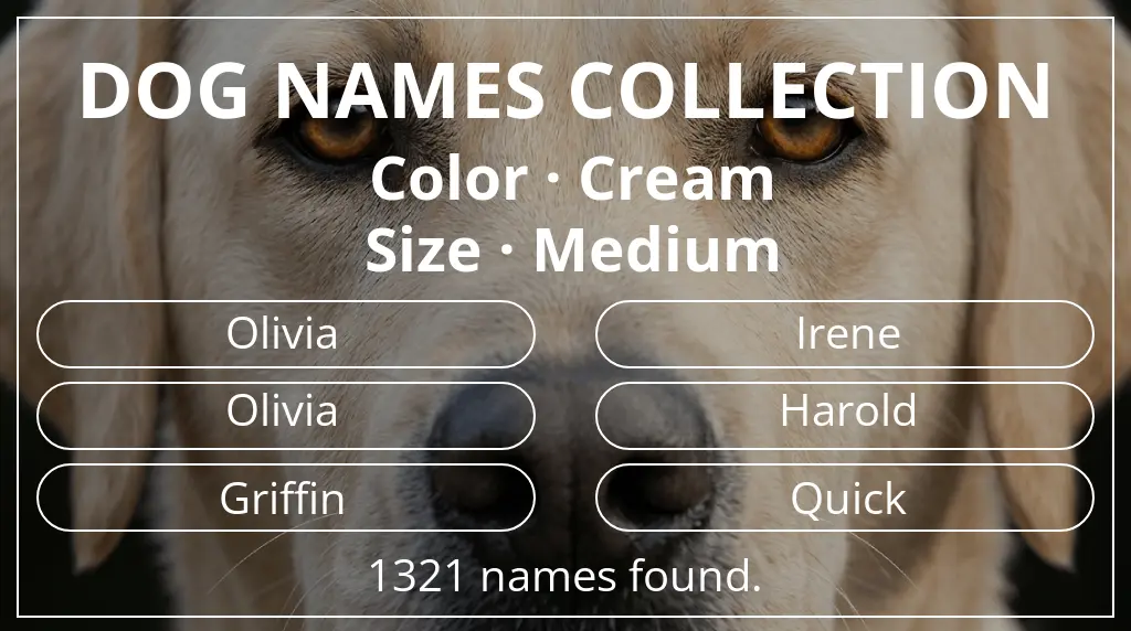 Names for dogs based on cream color and medium size