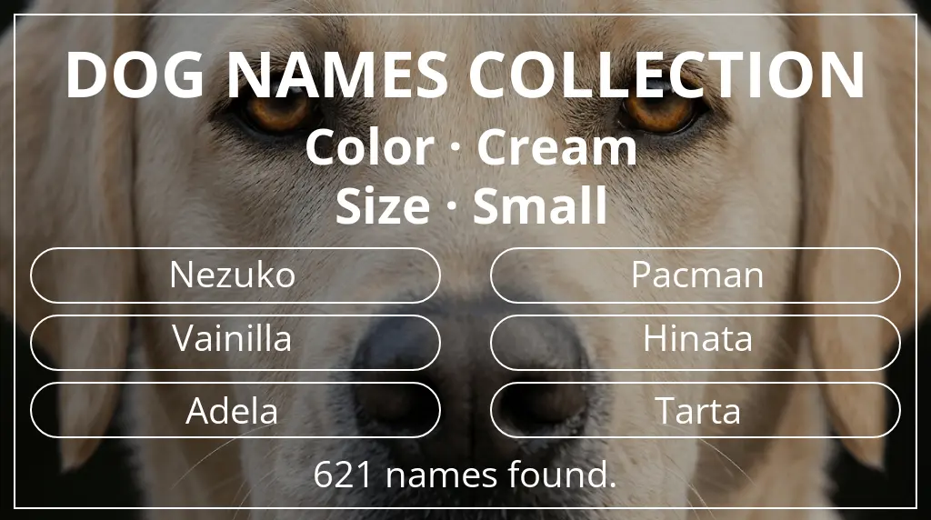Dog names based on cream color and small size
