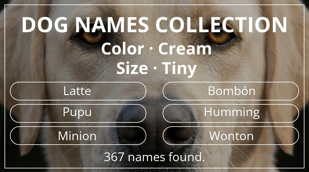 Names for dogs inspired by cream color and tiny size