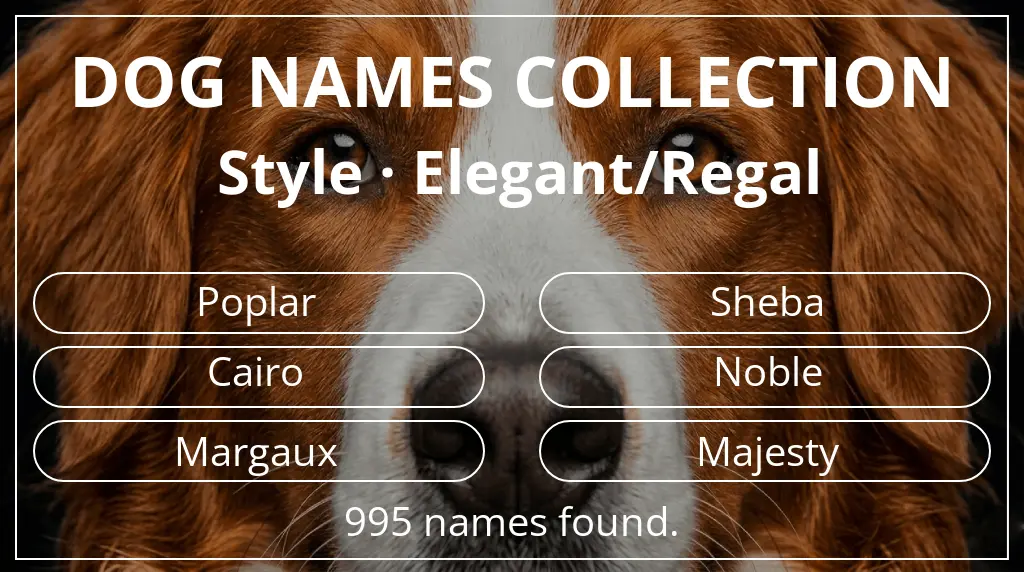 Names for dogs inspired by elegant/regal style