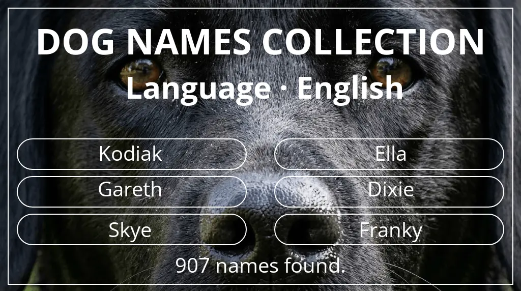 Dog names based on english language