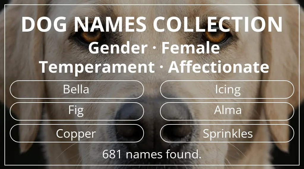 Names for dogs inspired by female gender and affectionate temperament