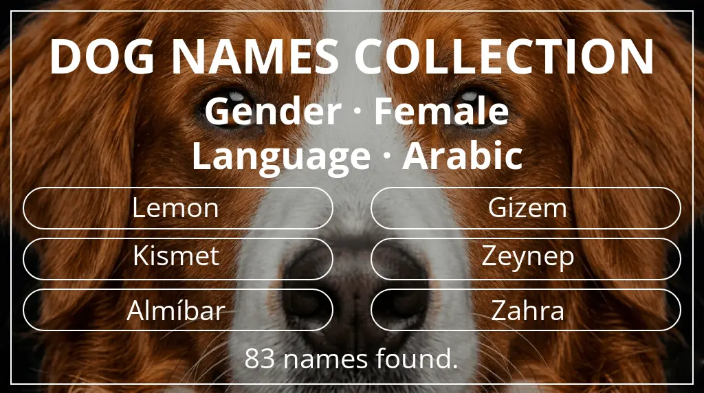 Names for dogs inspired by female gender and arabic language