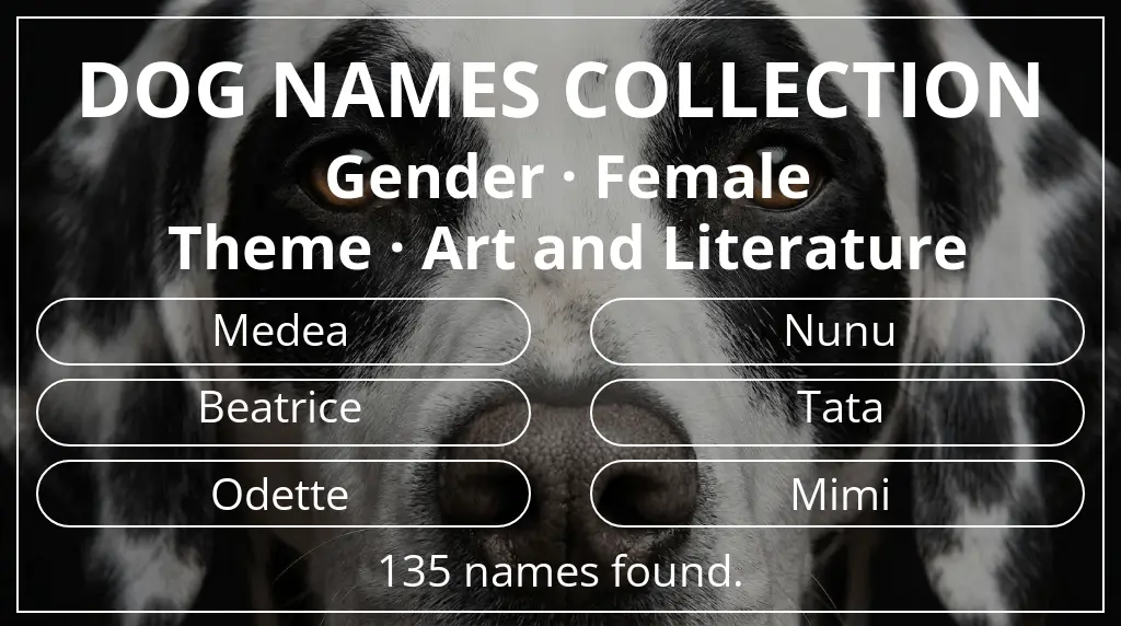 Dog names based on female gender and art and literature theme