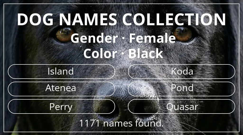 Dog names based on female gender and black color