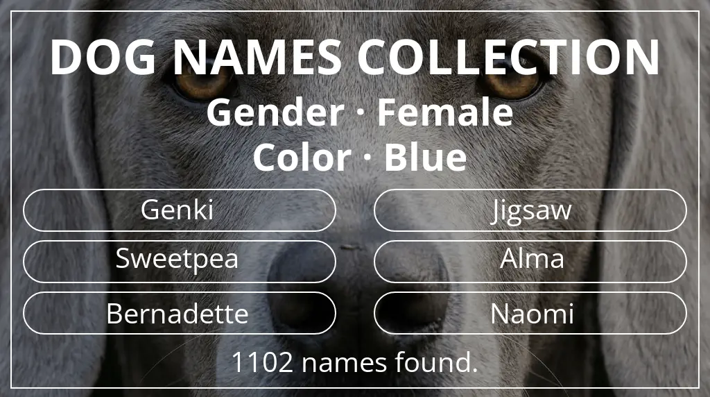 Names for dogs inspired by female gender and blue color