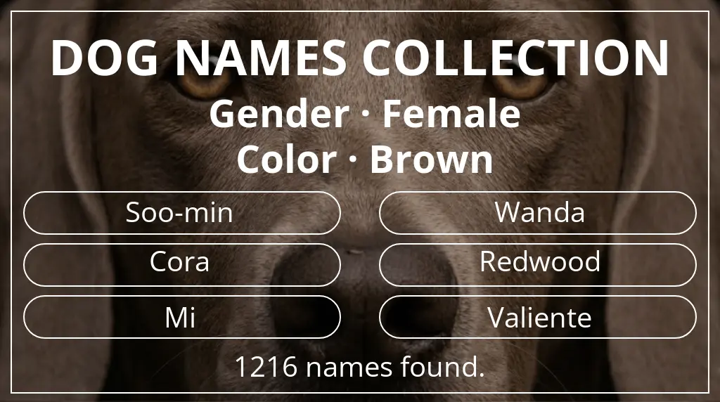 Dog names inspired by female gender and brown color