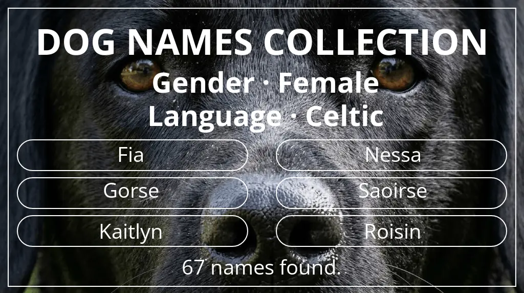 Dog names based on female gender and celtic language