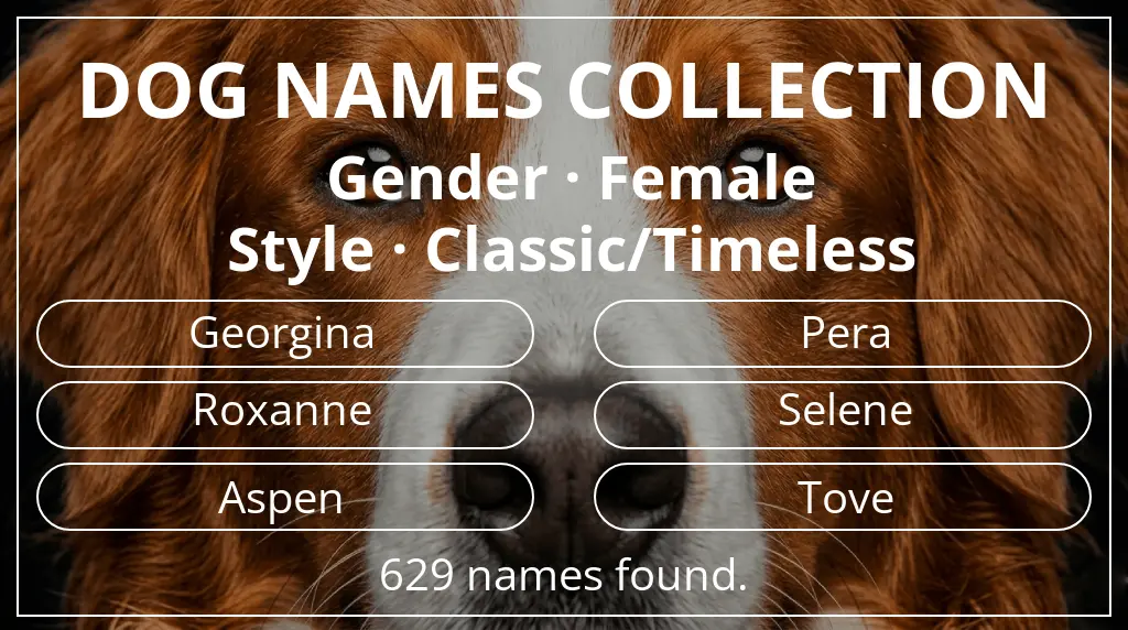 Dog names inspired by female gender and classic/timeless style