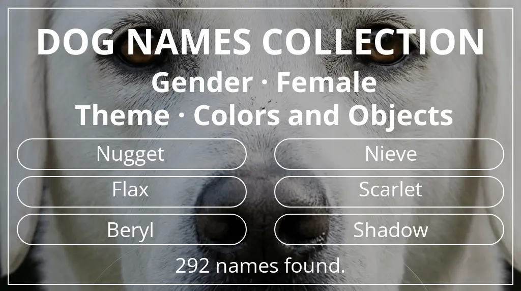 Names for dogs based on female gender and colors and objects theme