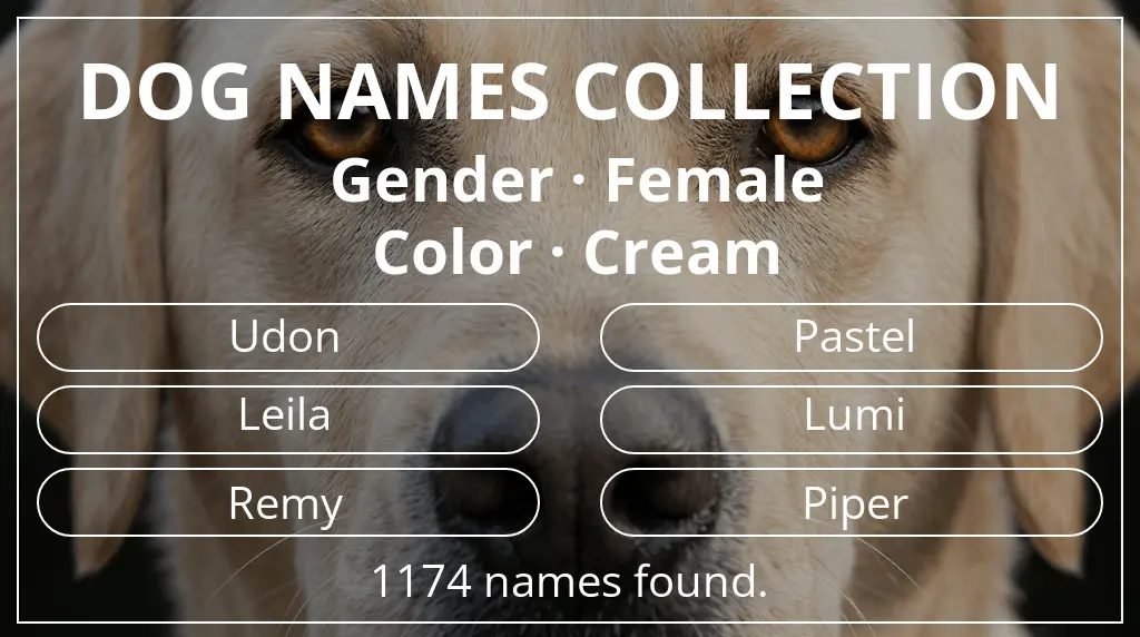 Dog names based on female gender and cream color