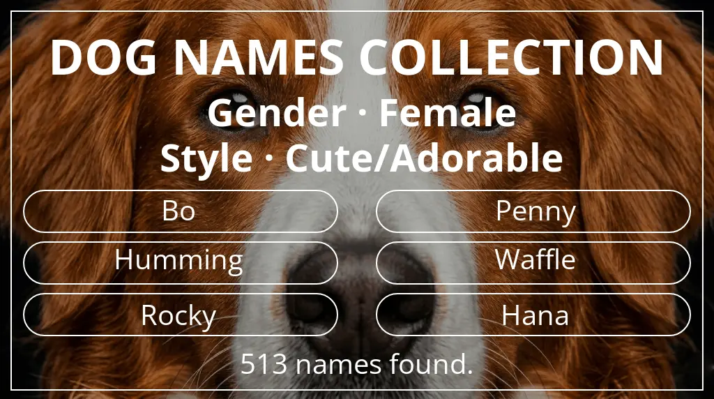 Names for dogs inspired by female gender and cute/adorable style
