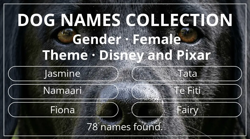Dog names based on female gender and disney and pixar theme