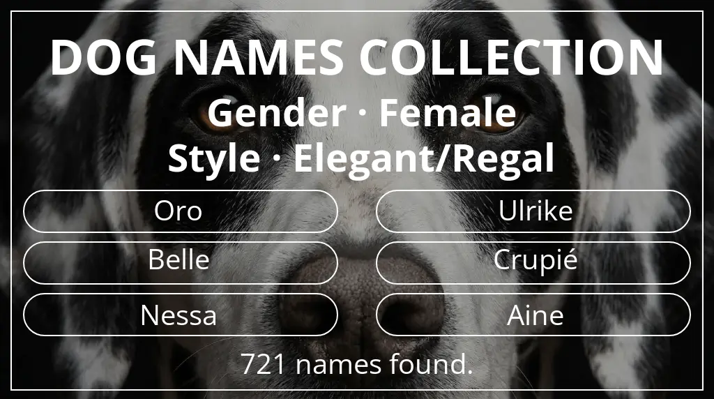 Names for dogs inspired by female gender and elegant/regal style