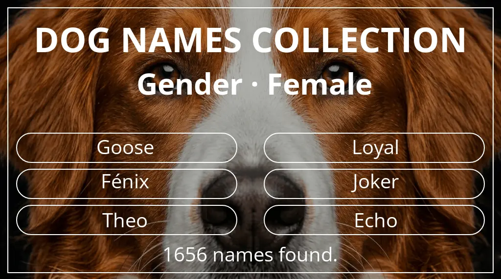 Names for dogs based on female gender