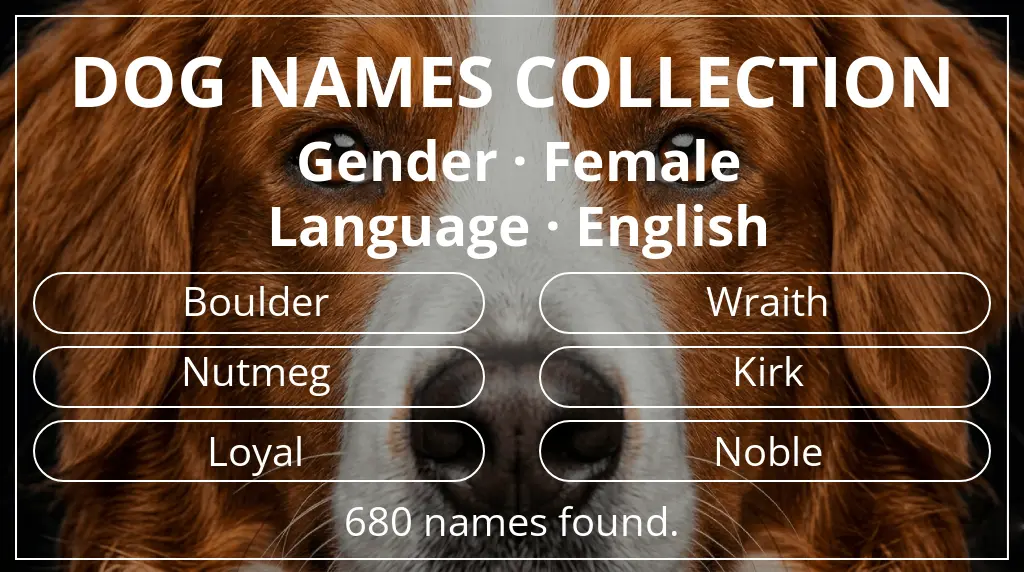 Names for dogs inspired by female gender and english language