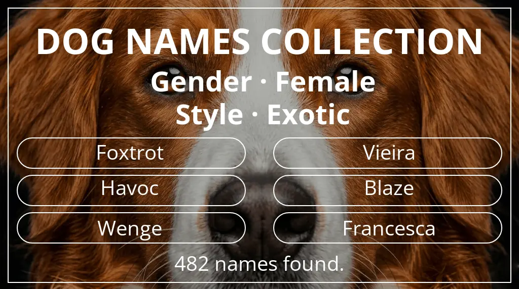 Dog names based on female gender and exotic style