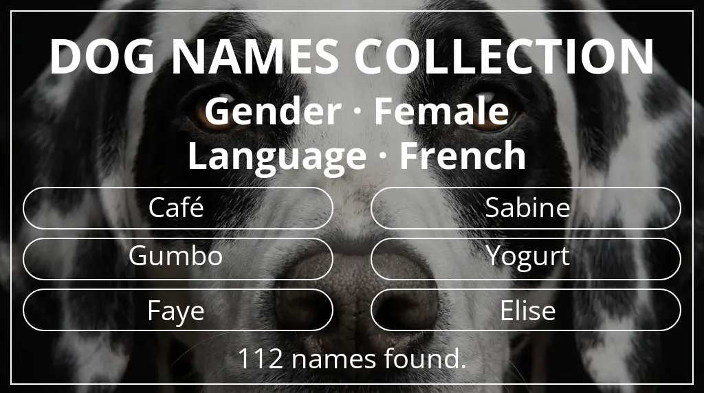 Names for dogs based on female gender and french language